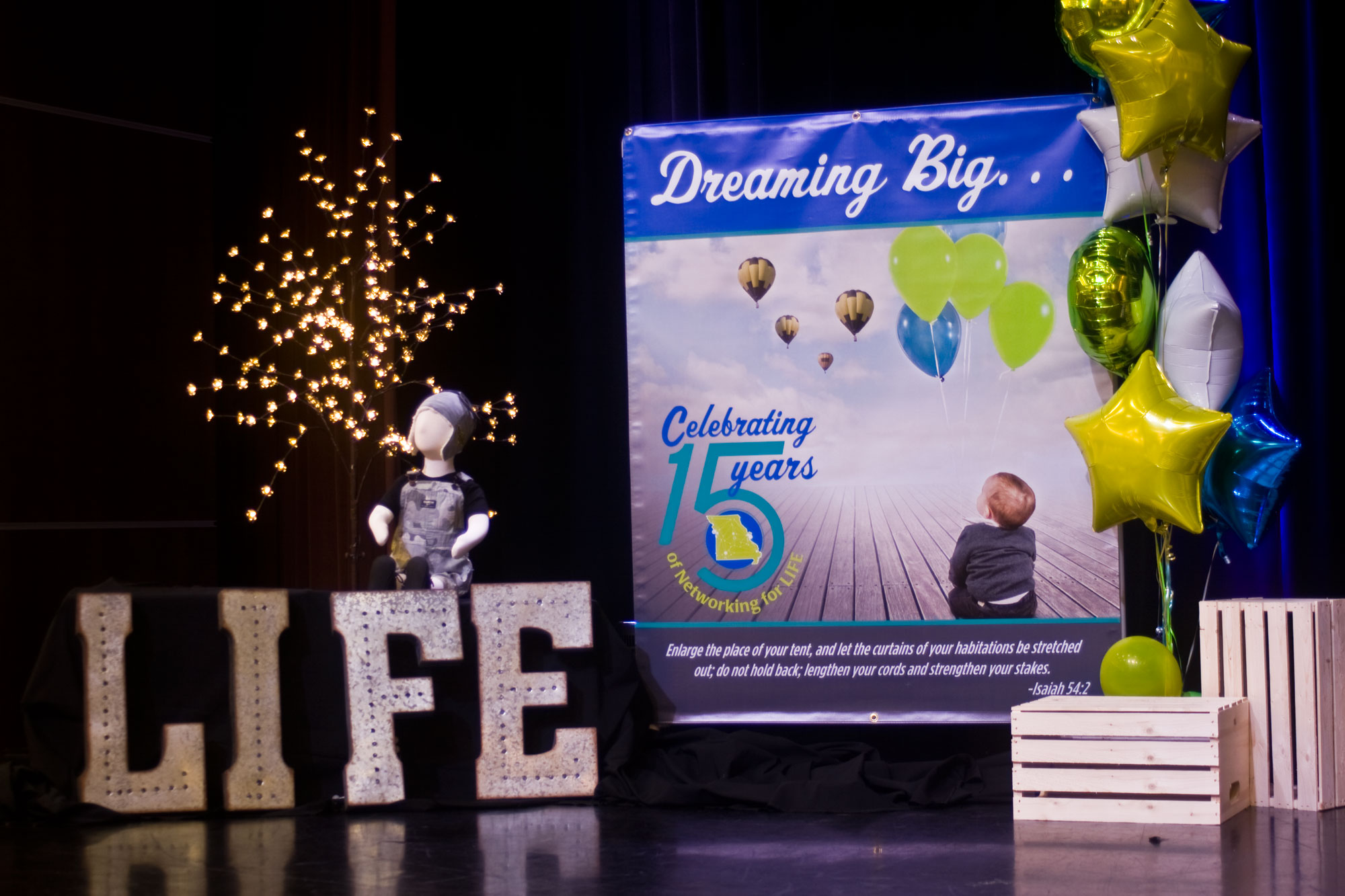 dreaming big with alliance for life