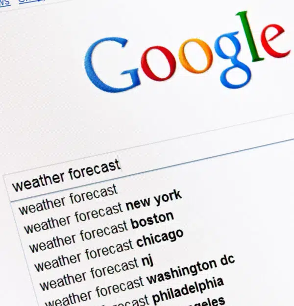 Google search bar