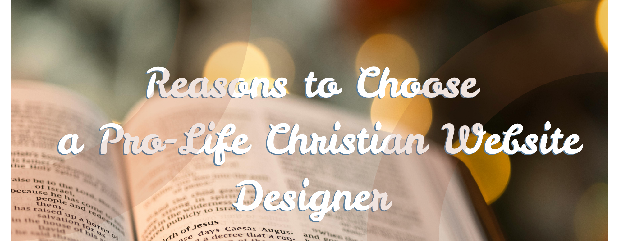 Why Choose a pro-life website designer Banner Image